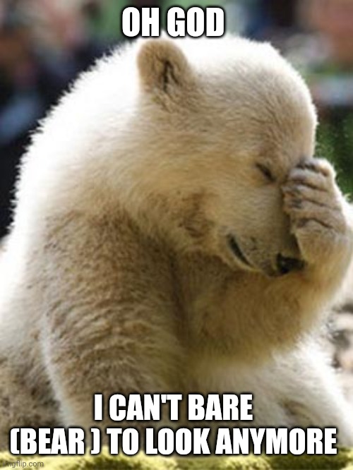 Facepalm Bear Meme | OH GOD I CAN'T BARE  (BEAR ) TO LOOK ANYMORE | image tagged in memes,facepalm bear | made w/ Imgflip meme maker