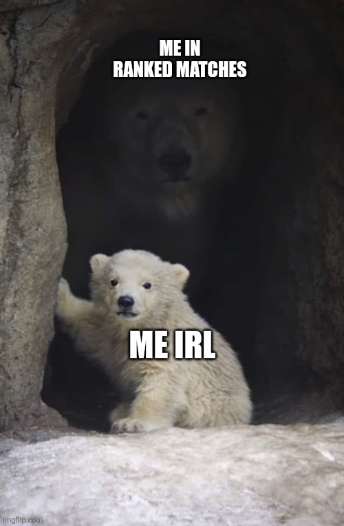 Polar Bear Hiding Behind Cub | ME IN RANKED MATCHES; ME IRL | image tagged in polar bear hiding behind cub,ranked,ranked matches,ranked games,online personality | made w/ Imgflip meme maker