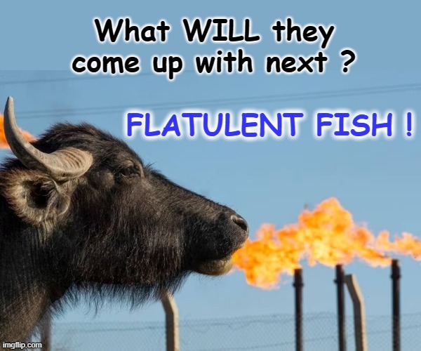 Fish farts ! | image tagged in bubble | made w/ Imgflip meme maker