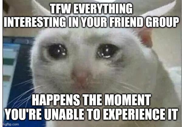 i got sunburn too | TFW EVERYTHING INTERESTING IN YOUR FRIEND GROUP; HAPPENS THE MOMENT YOU'RE UNABLE TO EXPERIENCE IT | image tagged in crying cat | made w/ Imgflip meme maker