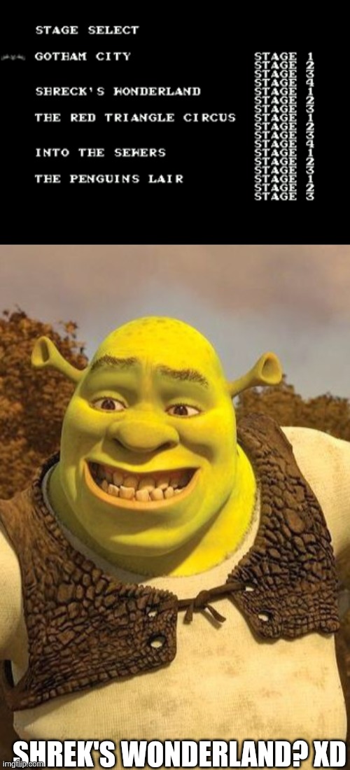 Shrek's Wonderland? XD | SHREK'S WONDERLAND? XD | image tagged in shrek's wonderland,smiling shrek | made w/ Imgflip meme maker