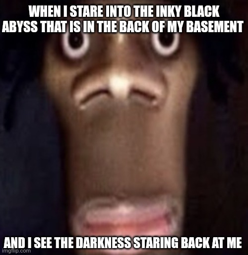 The darkness stares back | WHEN I STARE INTO THE INKY BLACK ABYSS THAT IS IN THE BACK OF MY BASEMENT; AND I SEE THE DARKNESS STARING BACK AT ME | image tagged in quandale dingle | made w/ Imgflip meme maker