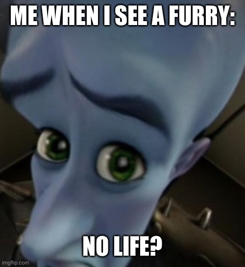 (Insert title here) | ME WHEN I SEE A FURRY:; NO LIFE? | image tagged in megamind no bitches,memes,fun,anti furry | made w/ Imgflip meme maker