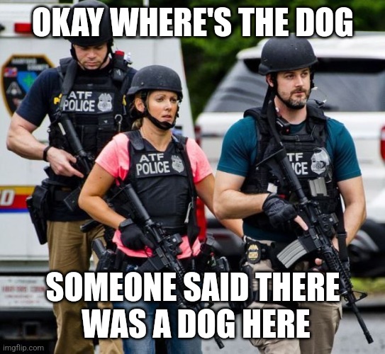 ATF Karen | OKAY WHERE'S THE DOG; SOMEONE SAID THERE
 WAS A DOG HERE | image tagged in atf karen | made w/ Imgflip meme maker