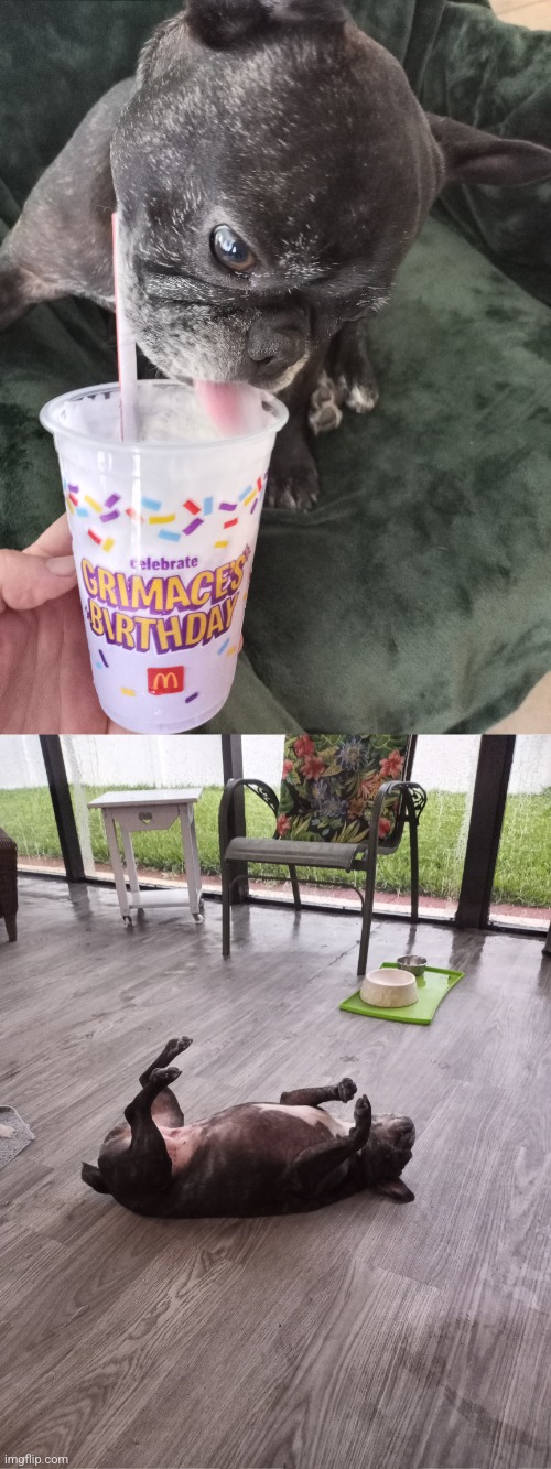 Grimace shake | image tagged in grimace,dogs,mcdonalds | made w/ Imgflip meme maker