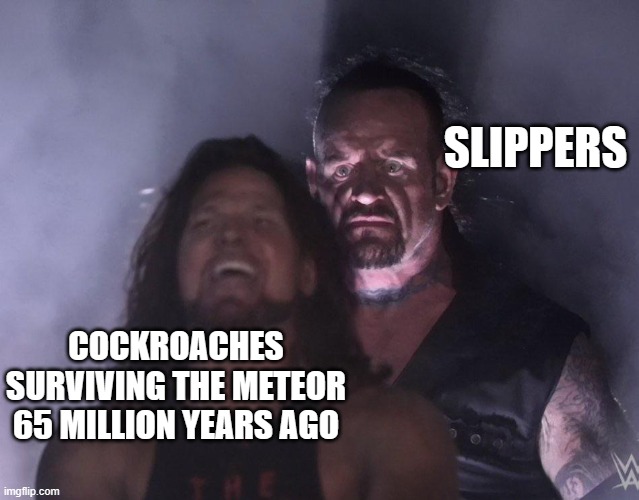 undertaker | SLIPPERS; COCKROACHES SURVIVING THE METEOR 65 MILLION YEARS AGO | image tagged in undertaker | made w/ Imgflip meme maker