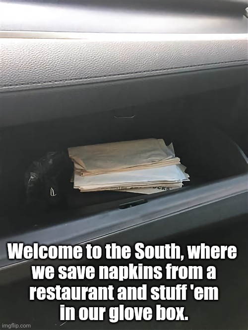 Napkin hoarder | Welcome to the South, where 
we save napkins from a
restaurant and stuff 'em
in our glove box. | image tagged in funny,southern pride,recycling | made w/ Imgflip meme maker