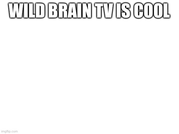 WILD BRAIN TV IS COOL | made w/ Imgflip meme maker