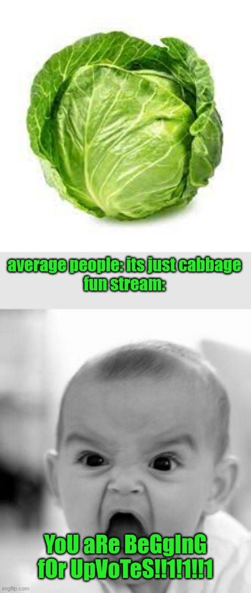 average people: its just cabbage
fun stream:; YoU aRe BeGgInG fOr UpVoTeS!!1!1!!1 | image tagged in memes,angry baby | made w/ Imgflip meme maker