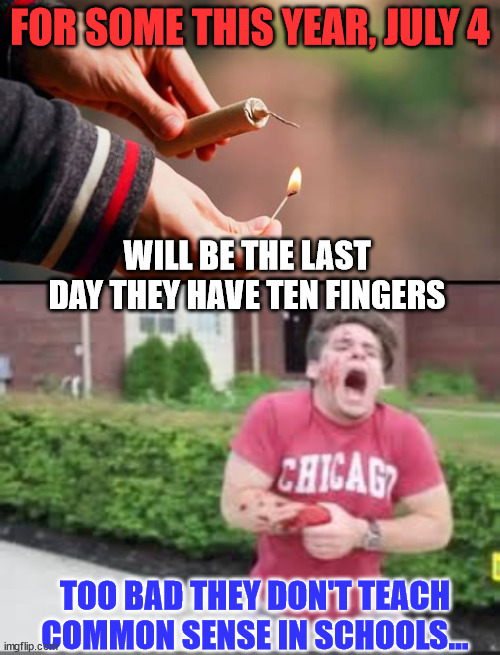 Common sense... it's priceless... | FOR SOME THIS YEAR, JULY 4; WILL BE THE LAST DAY THEY HAVE TEN FINGERS; TOO BAD THEY DON'T TEACH COMMON SENSE IN SCHOOLS... | image tagged in common sense,priceless,dark humor | made w/ Imgflip meme maker