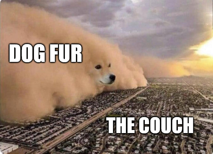 Doge Cloud | DOG FUR; THE COUCH | image tagged in doge cloud | made w/ Imgflip meme maker