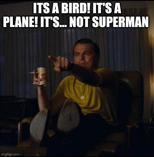 Leonardo DiCaprio Pointing | ITS A BIRD! IT'S A PLANE! IT'S... NOT SUPERMAN | image tagged in leonardo dicaprio pointing | made w/ Imgflip meme maker