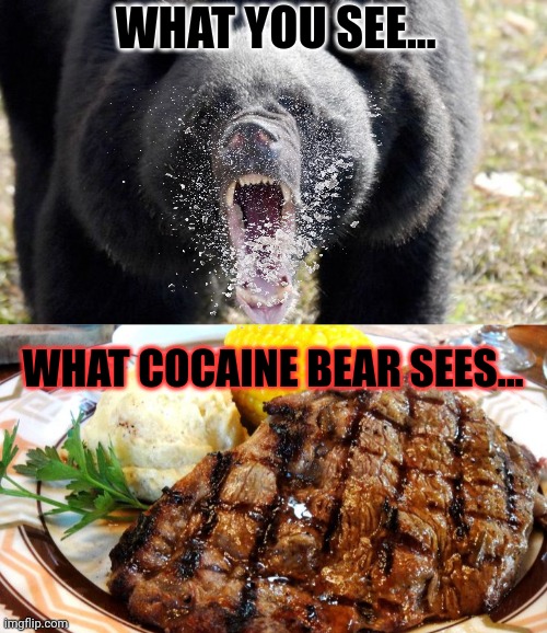 Nom nom nom | WHAT YOU SEE... WHAT COCAINE BEAR SEES... | image tagged in steak dinner,cocaine,bear | made w/ Imgflip meme maker