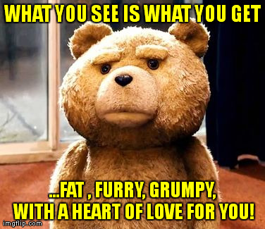 Confession  of Love, Bear | WHAT YOU SEE IS WHAT YOU GET ...FAT , FURRY, GRUMPY, WITH A HEART OF LOVE FOR YOU! | image tagged in memes,ted,love,humor,funny,bear | made w/ Imgflip meme maker