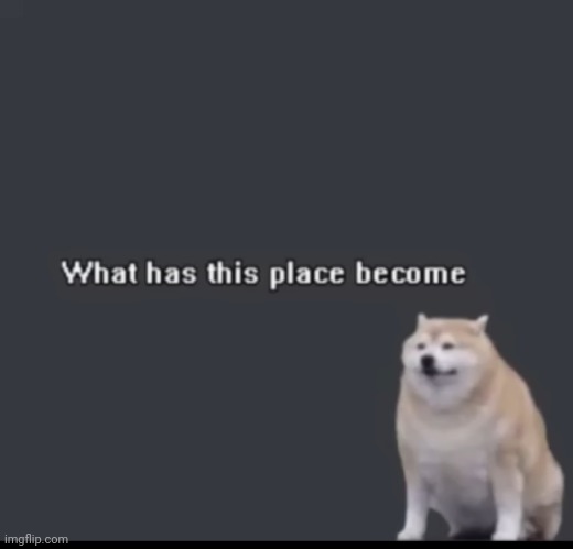 This place has become a hell | made w/ Imgflip meme maker