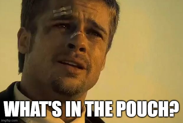 Brad Pitt Seven | WHAT'S IN THE POUCH? | image tagged in brad pitt seven | made w/ Imgflip meme maker