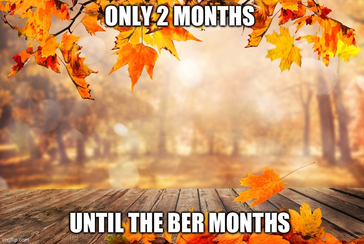 Only 2 Months until the Ber Months | ONLY 2 MONTHS; UNTIL THE BER MONTHS | image tagged in autumn leaves | made w/ Imgflip meme maker