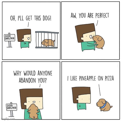 Would adopt, tbh | image tagged in pineapple pizza,dog,shelter,pizza,comics,comics/cartoons | made w/ Imgflip meme maker