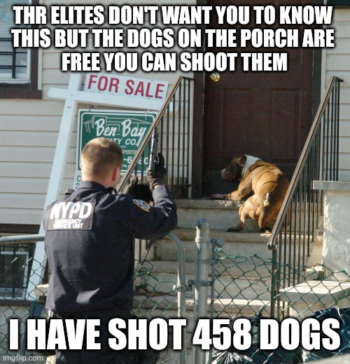 THR ELITES DON'T WANT YOU TO KNOW 
THIS BUT THE DOGS ON THE PORCH ARE 
FREE YOU CAN SHOOT THEM; I HAVE SHOT 458 DOGS | made w/ Imgflip meme maker