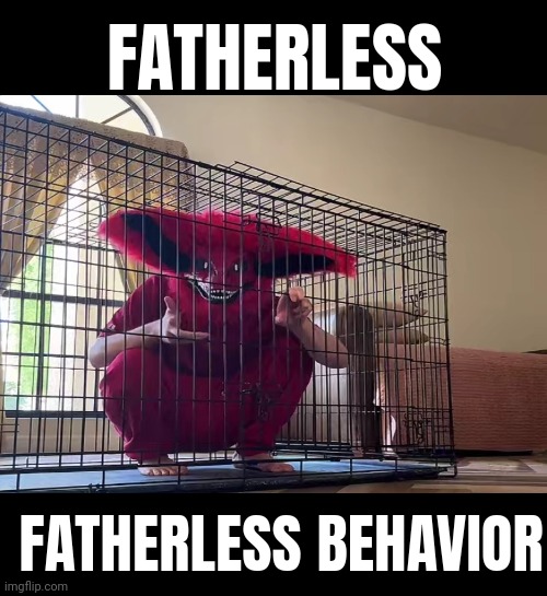 cardinal Memes & GIFs - Imgflip