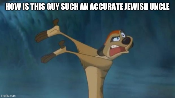 @Dawn | HOW IS THIS GUY SUCH AN ACCURATE JEWISH UNCLE | image tagged in timon lion king | made w/ Imgflip meme maker