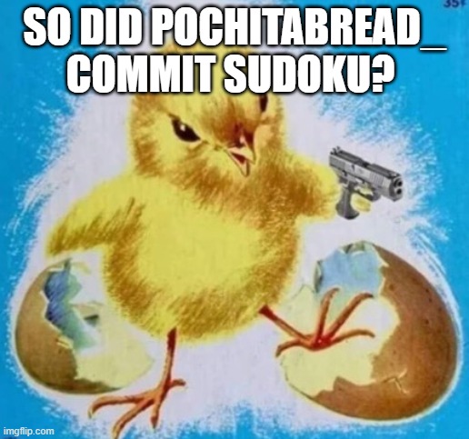 badass chick | SO DID POCHITABREAD_ COMMIT SUDOKU? | image tagged in badass chick | made w/ Imgflip meme maker