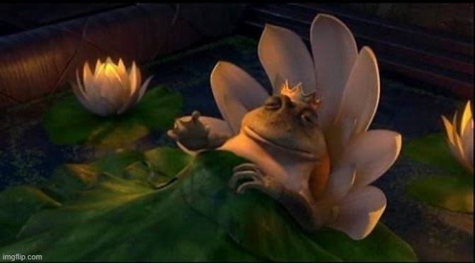 Shrek frog dying (no text) | image tagged in shrek frog dying no text | made w/ Imgflip meme maker