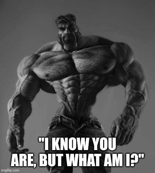 GigaChad | "I KNOW YOU ARE, BUT WHAT AM I?" | image tagged in gigachad | made w/ Imgflip meme maker