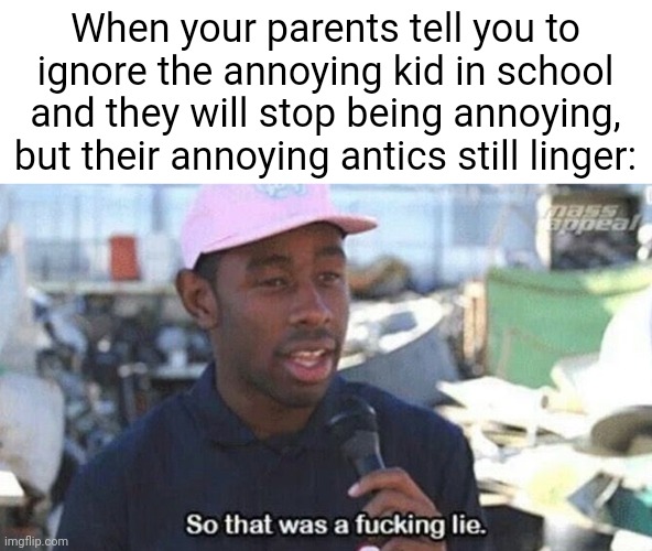 So that was a f***ing lie | When your parents tell you to ignore the annoying kid in school and they will stop being annoying, but their annoying antics still linger: | image tagged in so that was a f ing lie,school,memes | made w/ Imgflip meme maker