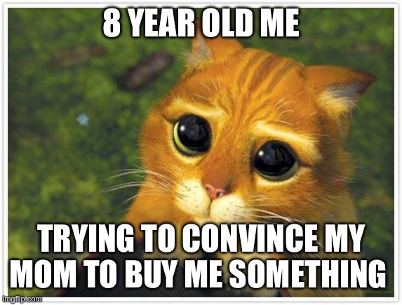 Aww look a wittle kitty kwat | 8 YEAR OLD ME; TRYING TO CONVINCE MY MOM TO BUY ME SOMETHING | image tagged in memes,shrek cat | made w/ Imgflip meme maker
