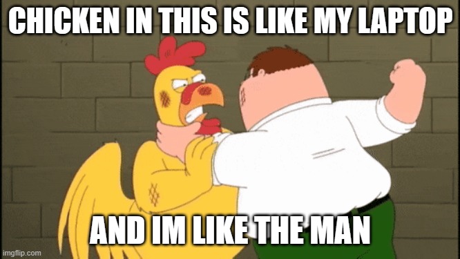 dumb 8 gb laptop memes | CHICKEN IN THIS IS LIKE MY LAPTOP; AND IM LIKE THE MAN | image tagged in memes,computer | made w/ Imgflip meme maker