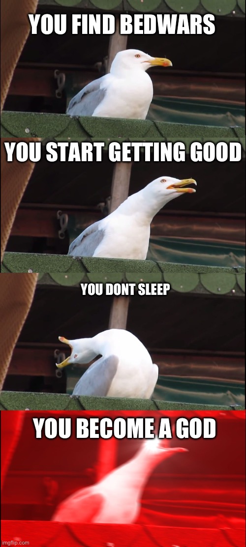 meme 1 | YOU FIND BEDWARS; YOU START GETTING GOOD; YOU DONT SLEEP; YOU BECOME A GOD | image tagged in memes,inhaling seagull | made w/ Imgflip meme maker
