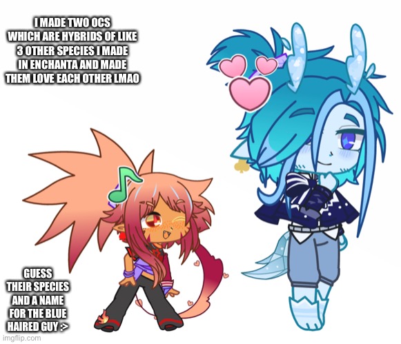 The Orange one’s named Caroline and she’s a rockstar in Galleraigh, Farrenough | I MADE TWO OCS WHICH ARE HYBRIDS OF LIKE 3 OTHER SPECIES I MADE IN ENCHANTA AND MADE THEM LOVE EACH OTHER LMAO; GUESS THEIR SPECIES AND A NAME FOR THE BLUE HAIRED GUY :> | made w/ Imgflip meme maker