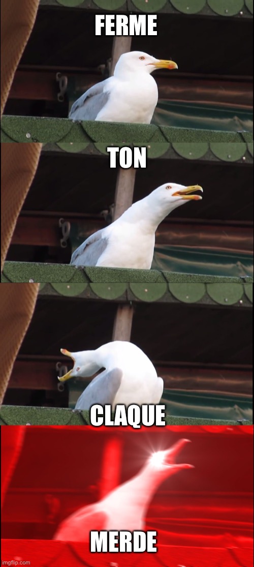 Inhaling Seagull | FERME; TON; CLAQUE; MERDE | image tagged in memes,inhaling seagull | made w/ Imgflip meme maker