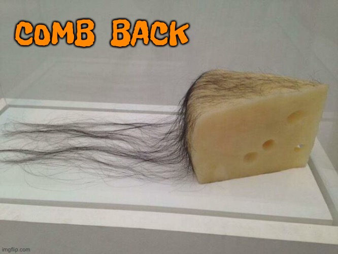 Comb back | COMB  BACK | image tagged in cheesy comb back,thinning locks,cursed images | made w/ Imgflip meme maker