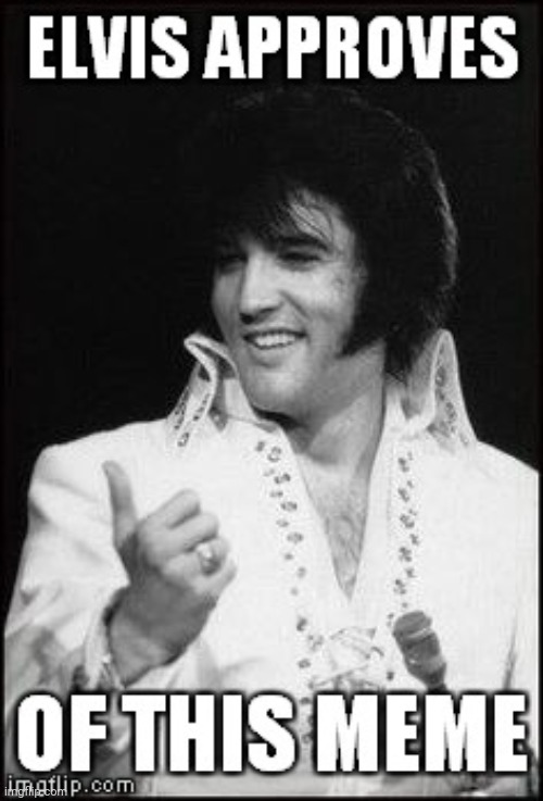 Elvis approves | image tagged in elvis approves | made w/ Imgflip meme maker