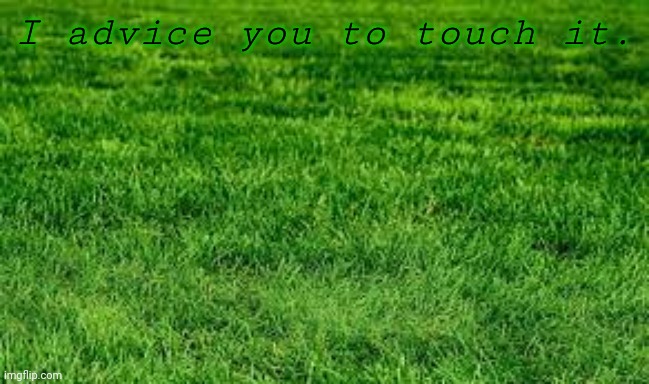 touching grass | I advice you to touch it. | image tagged in touching grass | made w/ Imgflip meme maker