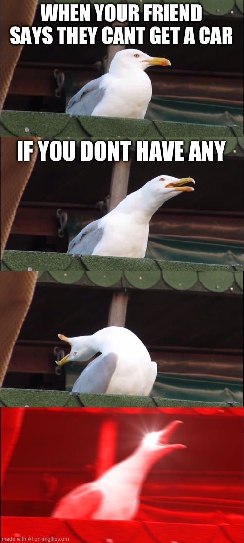 Inhaling seagulls memes are funny | WHEN YOUR FRIEND SAYS THEY CANT GET A CAR; IF YOU DONT HAVE ANY | image tagged in memes,inhaling seagull | made w/ Imgflip meme maker