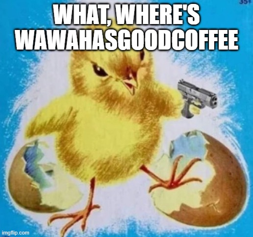 badass chick | WHAT, WHERE'S WAWAHASGOODCOFFEE | image tagged in badass chick | made w/ Imgflip meme maker