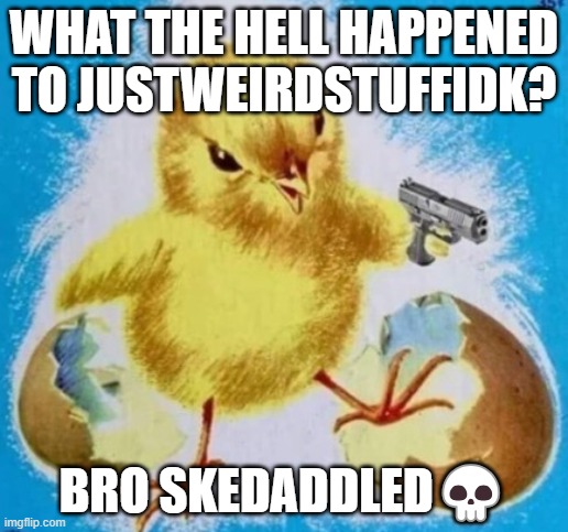 badass chick | WHAT THE HELL HAPPENED TO JUSTWEIRDSTUFFIDK? BRO SKEDADDLED💀 | image tagged in badass chick | made w/ Imgflip meme maker