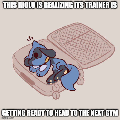 Riolu in a Luggage | THIS RIOLU IS REALIZING ITS TRAINER IS; GETTING READY TO HEAD TO THE NEXT GYM | image tagged in riolu,pokemon,memes | made w/ Imgflip meme maker