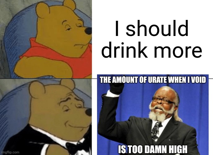 People know what urate is, right? | I should drink more | image tagged in tuxedo winnie the pooh | made w/ Imgflip meme maker