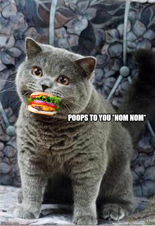 I can has cheezburger cat | POOPS TO YOU *NOM NOM* | image tagged in i can has cheezburger cat | made w/ Imgflip meme maker