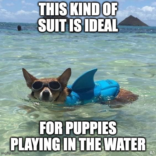 Dog With Shark Suit | THIS KIND OF SUIT IS IDEAL; FOR PUPPIES PLAYING IN THE WATER | image tagged in dogs,memes | made w/ Imgflip meme maker