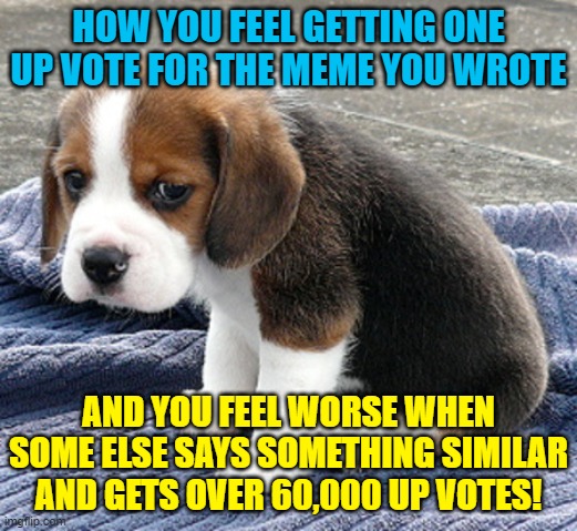 Something just ain't right | HOW YOU FEEL GETTING ONE UP VOTE FOR THE MEME YOU WROTE; AND YOU FEEL WORSE WHEN SOME ELSE SAYS SOMETHING SIMILAR AND GETS OVER 60,000 UP VOTES! | image tagged in sad dog | made w/ Imgflip meme maker