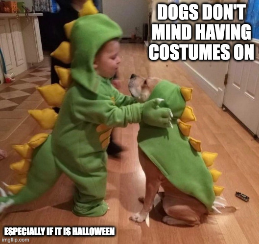 Dog With Dinosaur Costume On | DOGS DON'T MIND HAVING COSTUMES ON; ESPECIALLY IF IT IS HALLOWEEN | image tagged in dogs,memes,costume | made w/ Imgflip meme maker