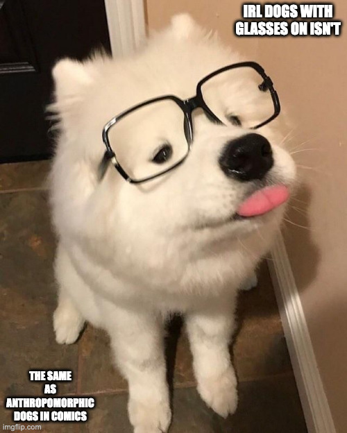 Dog With Glasses | IRL DOGS WITH GLASSES ON ISN'T; THE SAME AS ANTHROPOMORPHIC DOGS IN COMICS | image tagged in dogs,glasses,memes | made w/ Imgflip meme maker