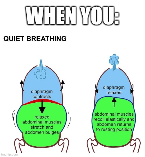 WHEN YOU: | made w/ Imgflip meme maker