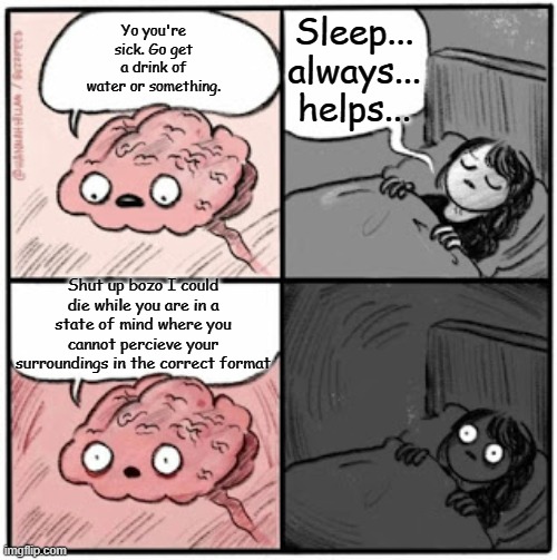 been there, done that | Sleep... always... helps... Yo you're sick. Go get a drink of water or something. Shut up bozo I could die while you are in a state of mind where you cannot percieve your surroundings in the correct format | image tagged in brain before sleep | made w/ Imgflip meme maker