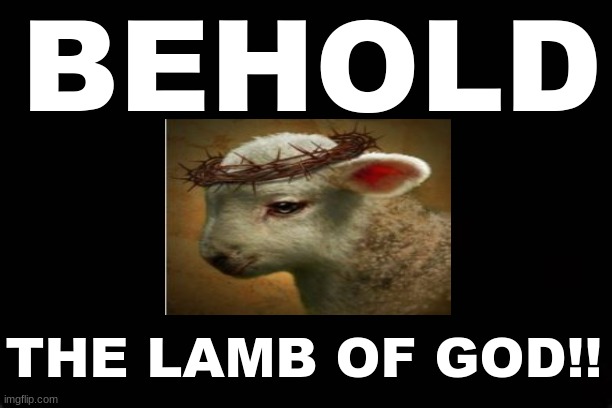 BEHOLD THE LAMB OF GOD | BEHOLD; THE LAMB OF GOD!! | image tagged in jesus christ,jesus crucifixion,lamb | made w/ Imgflip meme maker
